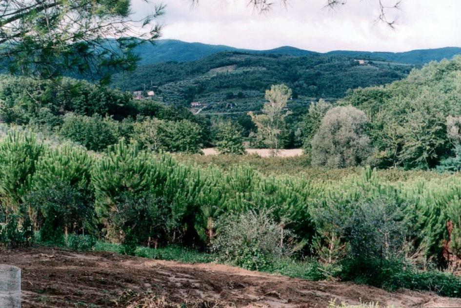 Agriturismo Campo Del Monte Campogialli Exteriér fotografie